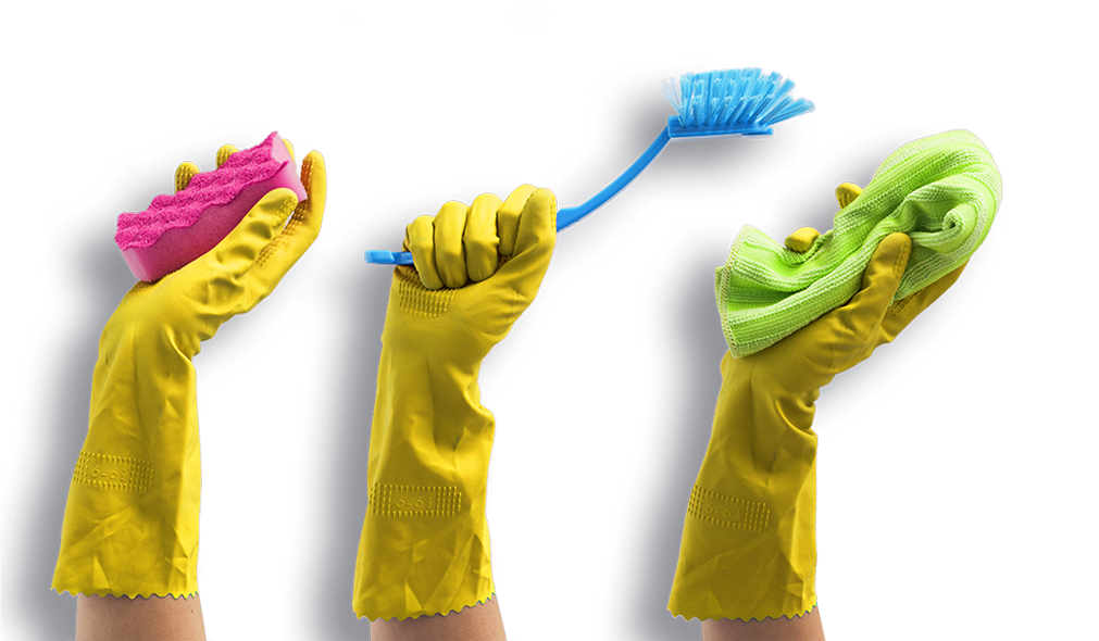 Professional Cleaning Team