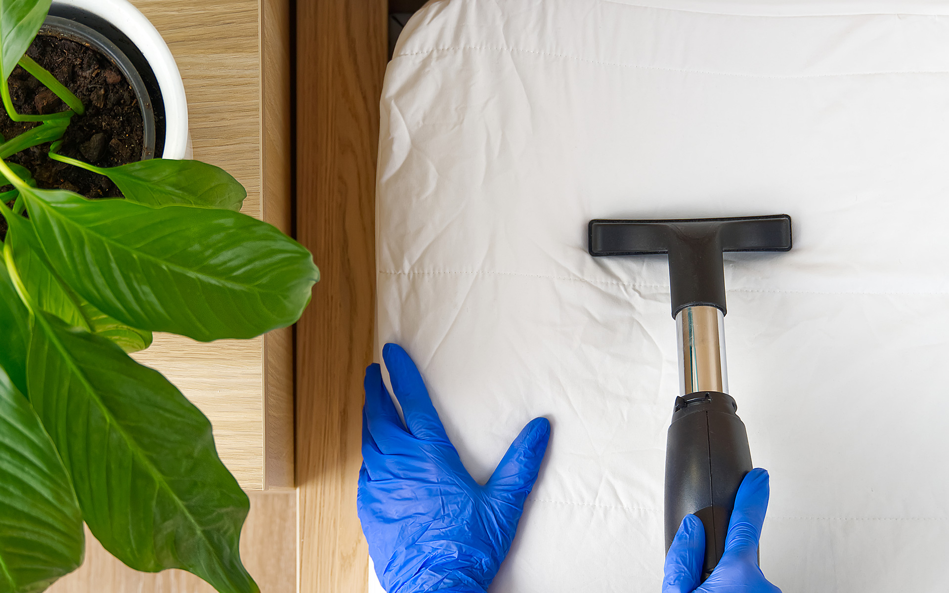 Deep Cleaning vs. Regular Cleaning: What's the Difference?